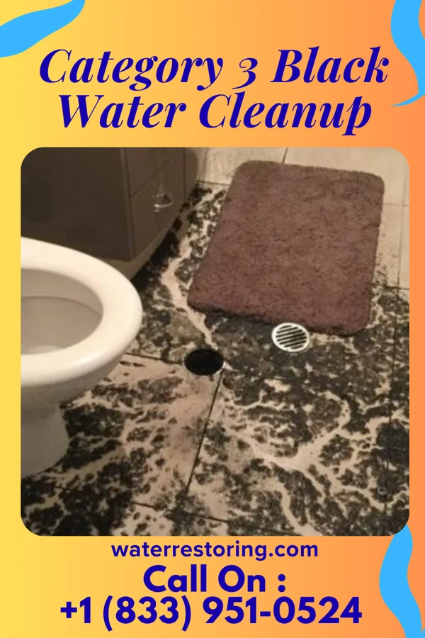 Category 3 Black Water Cleanup in Rockingham, GA