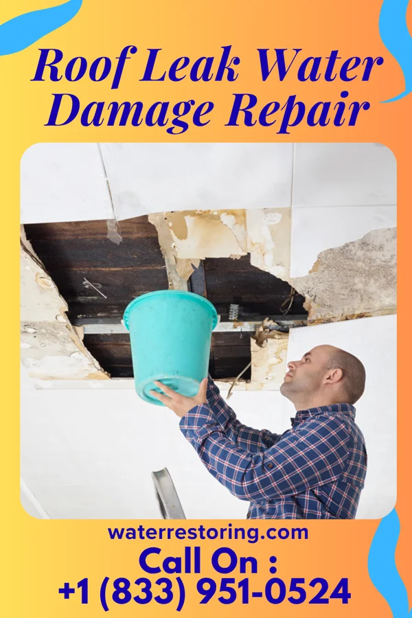 Roof Leak Water Damage Repair in Rockingham, GA